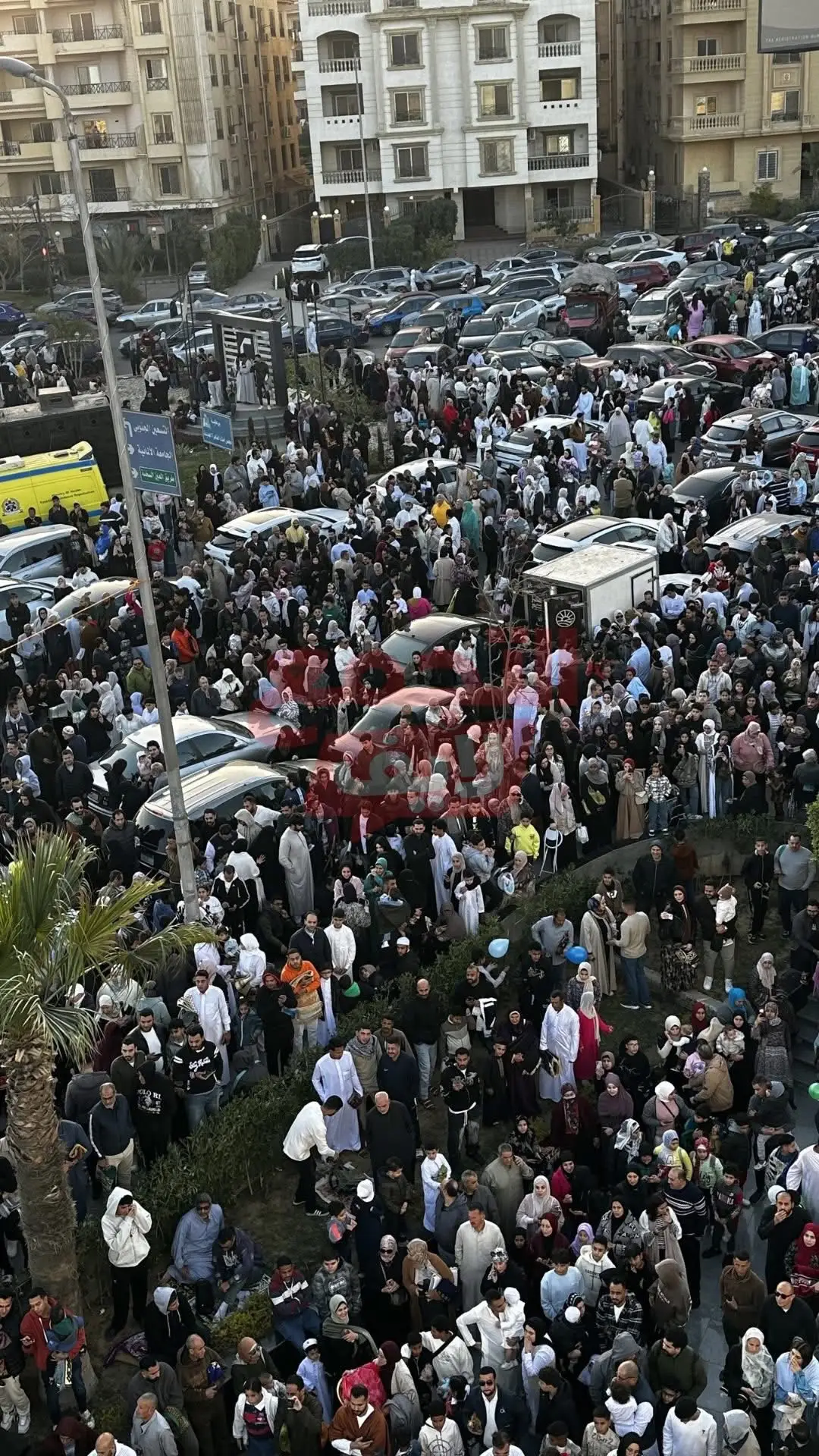 تقديم الملف
